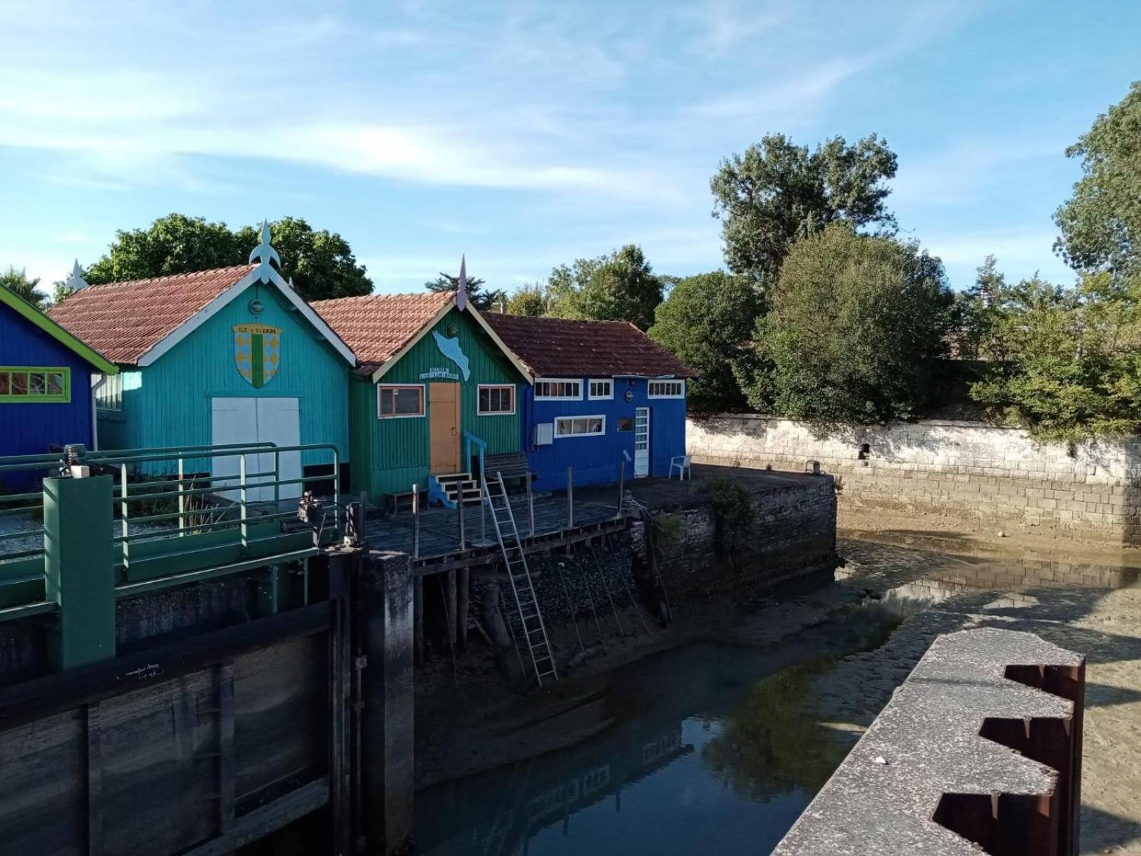 La Celle-sous-Gouzon Maison De La Mare Aux Rainettes Location Vacances Standing Au Coeur Du Marais Poitevin - 3 Chambres - 6 Personnes מראה חיצוני תמונה