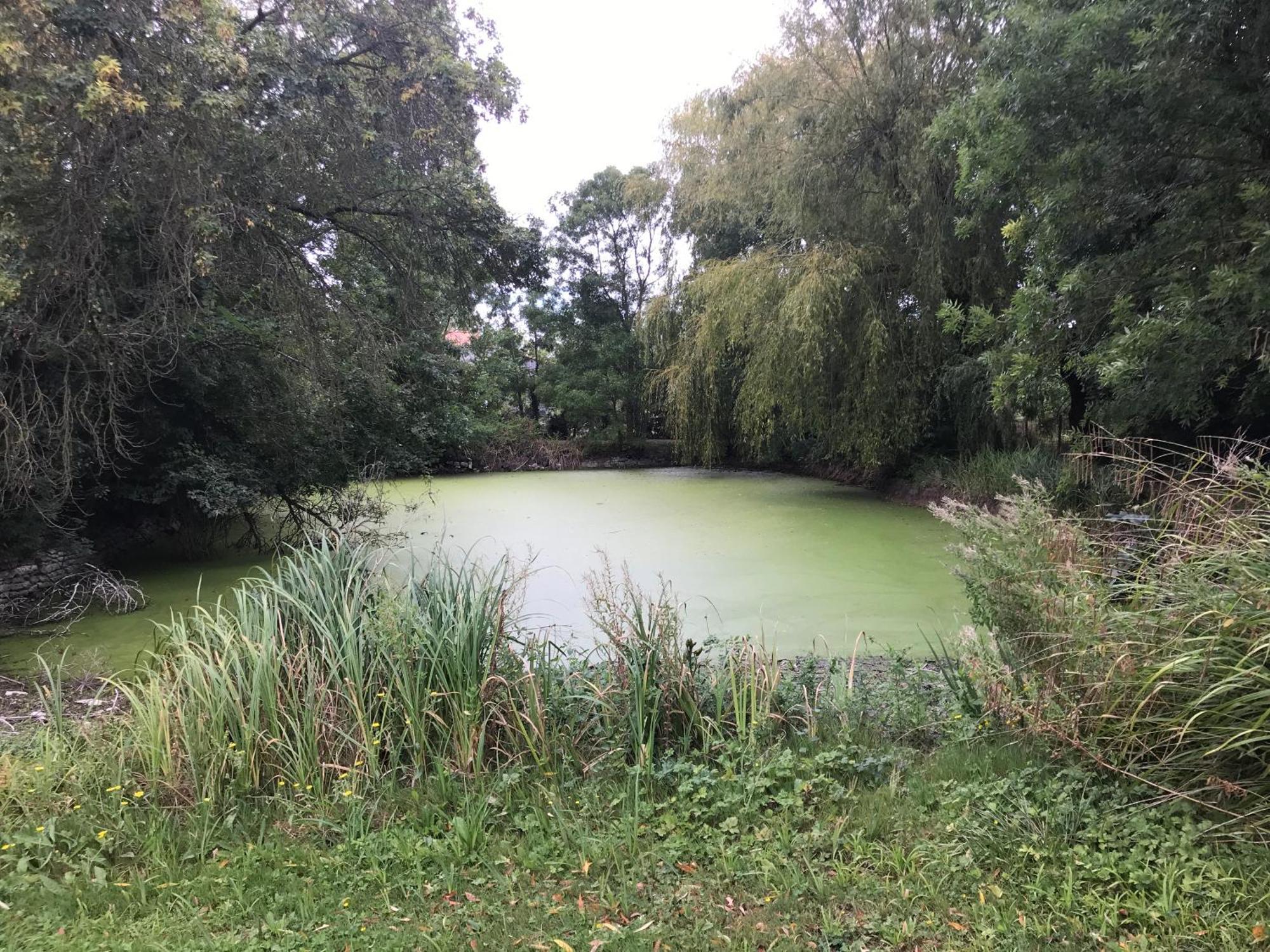 La Celle-sous-Gouzon Maison De La Mare Aux Rainettes Location Vacances Standing Au Coeur Du Marais Poitevin - 3 Chambres - 6 Personnes מראה חיצוני תמונה